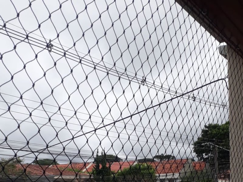 Garanta a segurança de animais com rede residencial em Mongaguá