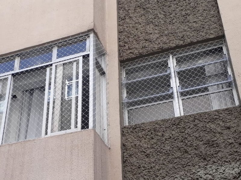 Proteja animais com tela de proteção em Santos
