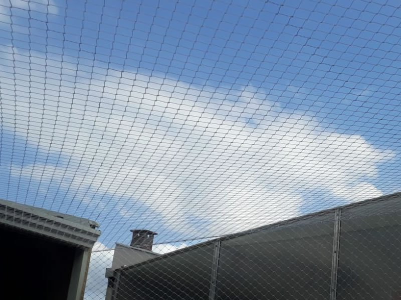 Instalação de tela protetora em Santos