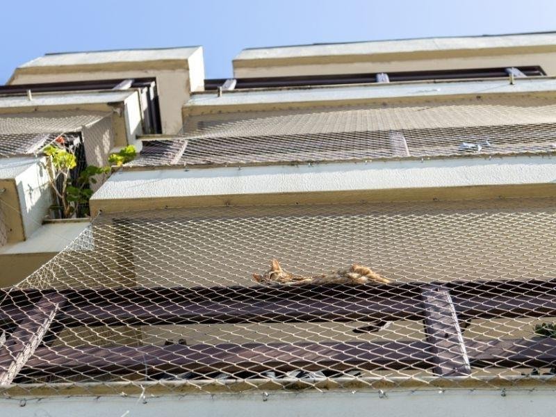 Telas de Segurança para Apartamentos em Mongaguá Telas de Segurança para Apartamentos em Mongaguá